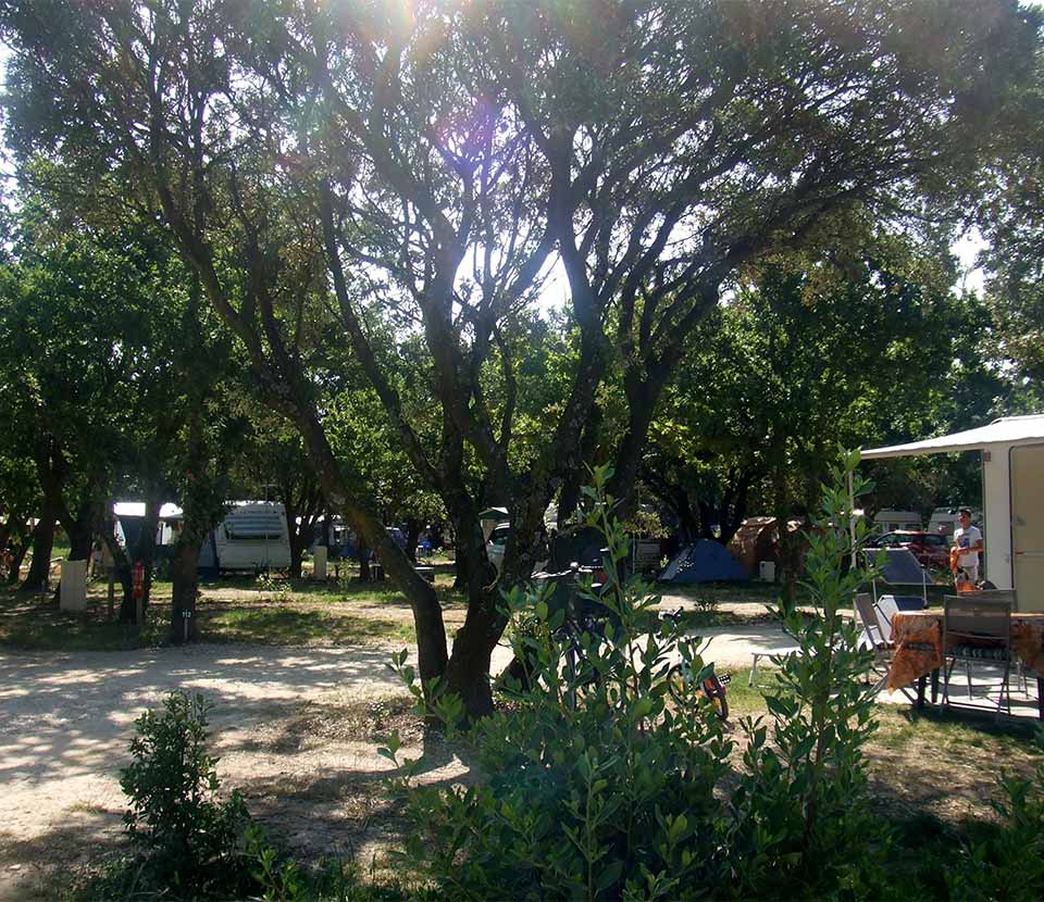 Campsite Vacances En Famille Biscarrosse Lac