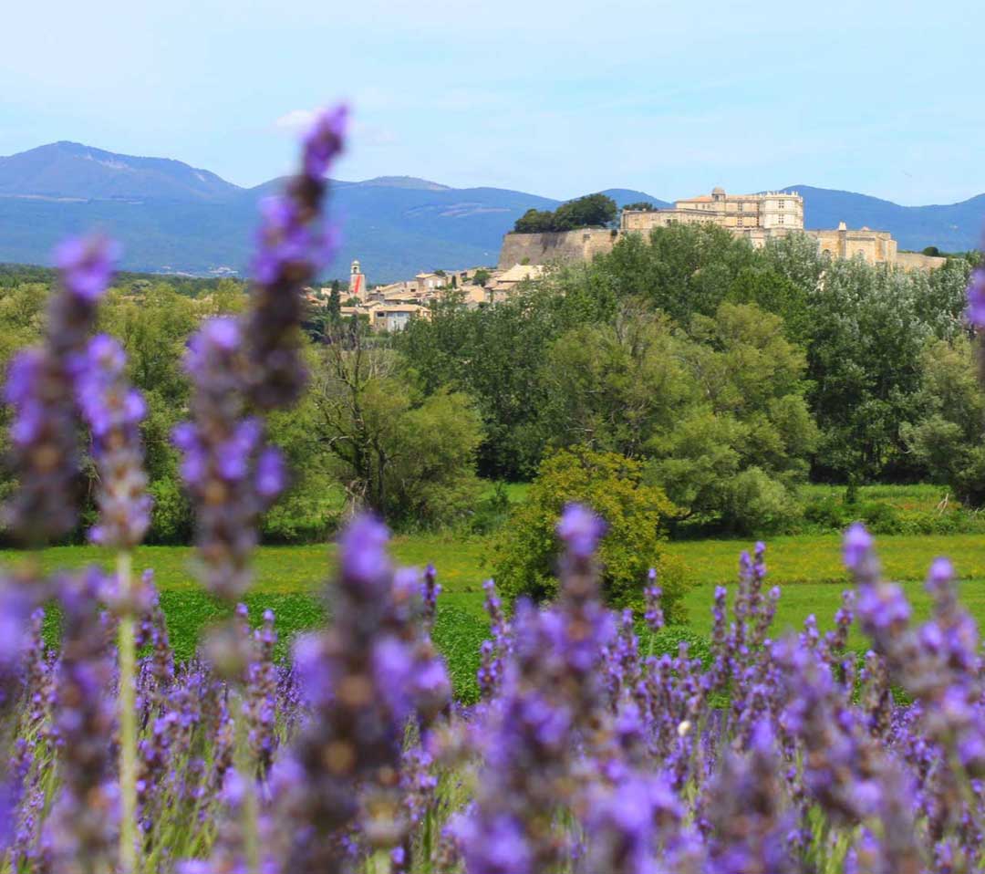 Region Vaucluse Drome Provencal