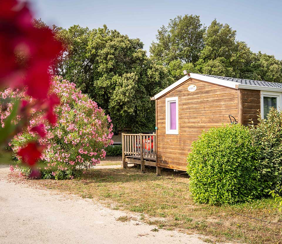 camping pas cher drome provencale