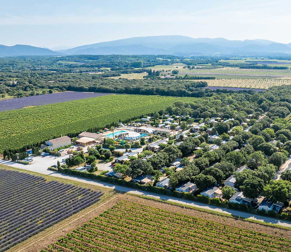 Vue aérienne du camping Le Garrigon entre vignes et lavandes, face au Mont Ventoux